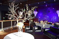 BIRTHDAY...CAUSE IT IS